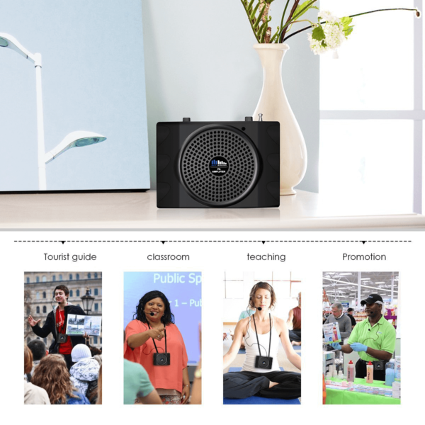 Гучномовець для гіда  Sky Sound GID-25W (MP3,FM)