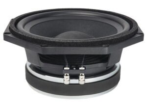 Динамік для акустичної системи FaitalPro 8RS250-8