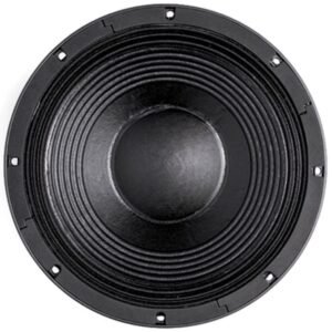 Динамік для акустичної системи B&C Speakers 12TBX100-8