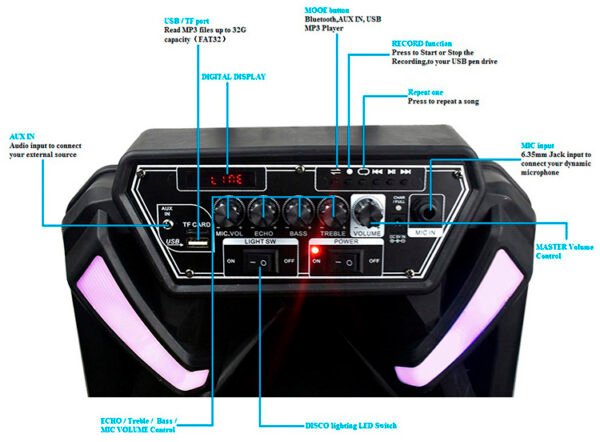 Мобільна акустична система Big 300BAT New (USB/MP3/FM/BT/TWS + 2pcs VHF mic)