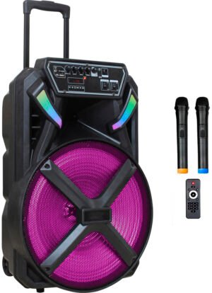 Мобільна акустична система Big 300BAT New (USB/MP3/FM/BT/TWS + 2pcs VHF mic)
