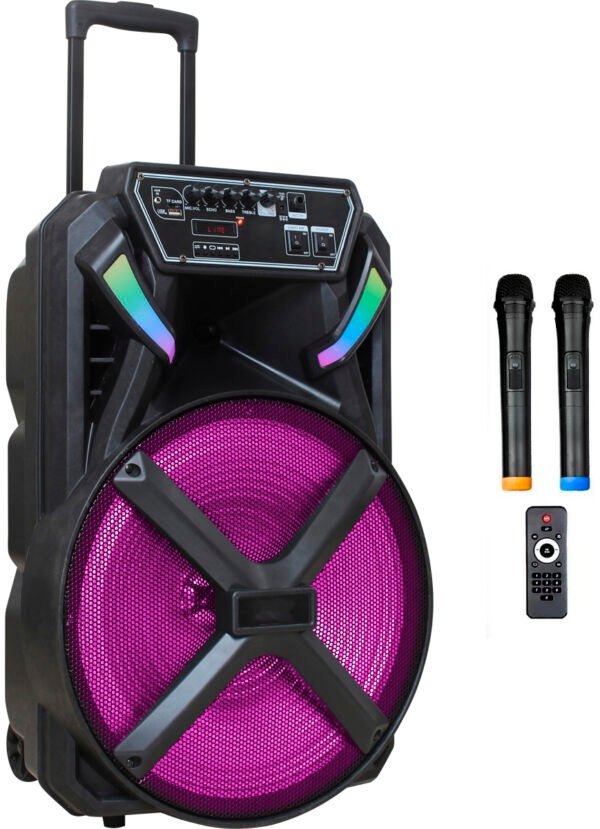 Мобільна акустична система Big 300BAT New (USB/MP3/FM/BT/TWS + 2pcs VHF mic)