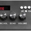 Мобільна акустична система Big 100BAT New (USB/MP3/FM/BT/TWS + 2pcs VHF mic)