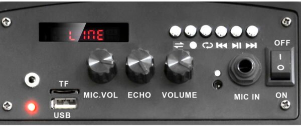 Мобільна акустична система Big 100BAT New (USB/MP3/FM/BT/TWS + 2pcs VHF mic)