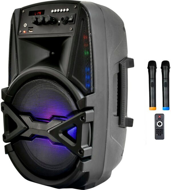 Мобільна акустична система Big 100BAT New (USB/MP3/FM/BT/TWS + 2pcs VHF mic)