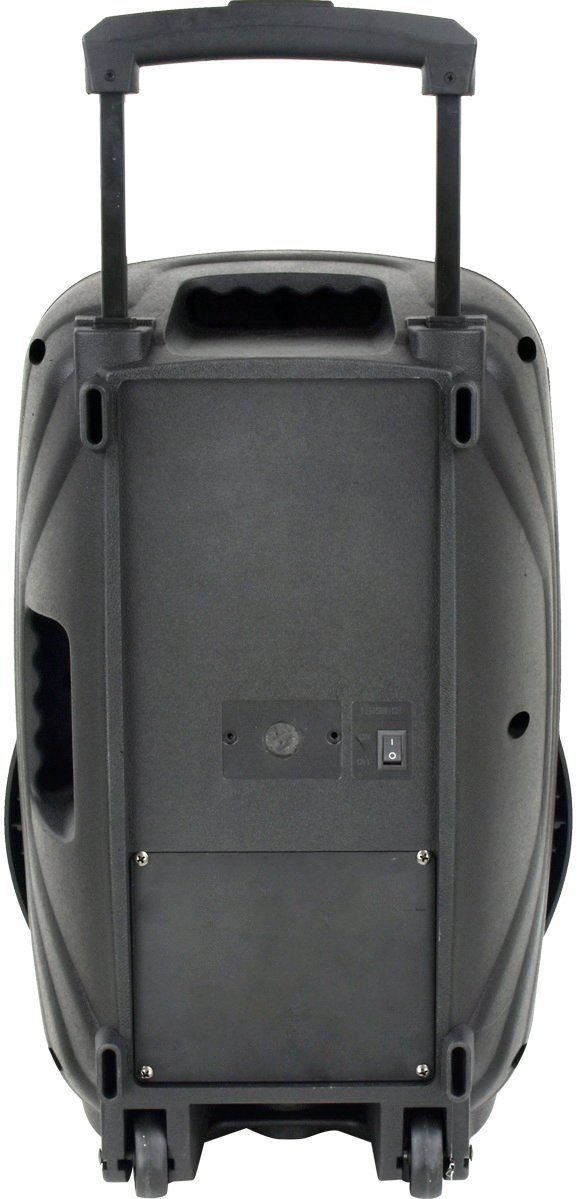 Мобільна акустична система Big 250BAT New (USB/MP3/FM/BT/TWS + 2pcs VHF mic)