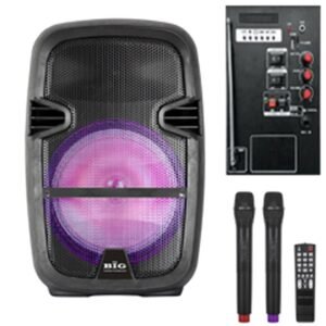 Мобільна акустична система Big 110BAT