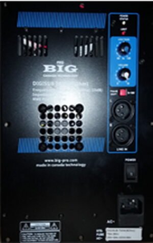 Вбудований підсилювач Big DigiSUB 700W(8Ohm)