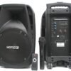 Мобільна акустична система Big PORTABLE10 220V