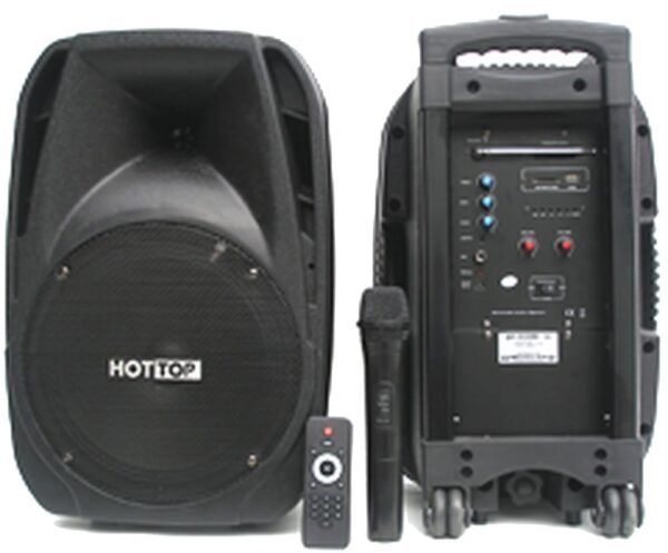 Мобільна акустична система Big PORTABLE10 220V