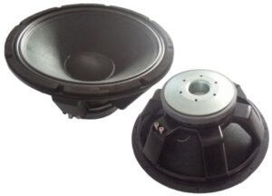 Динамік для акустичної системи Big SYP1806