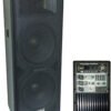 Активна акустична система Big TIREX700A+MP3