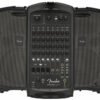 Акустичний комплект Fender Passport Venue Series 2