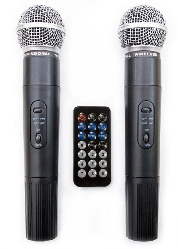 Мобільна акустична система HL Audio USK12A BT/USB