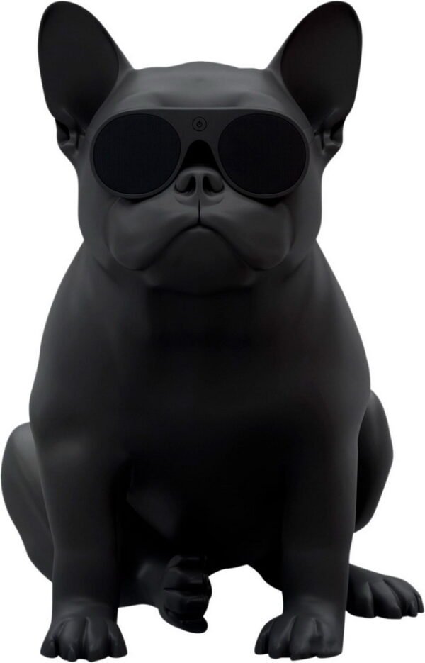 Акустична система для дому Jarre AeroBull HD1 Matt Black