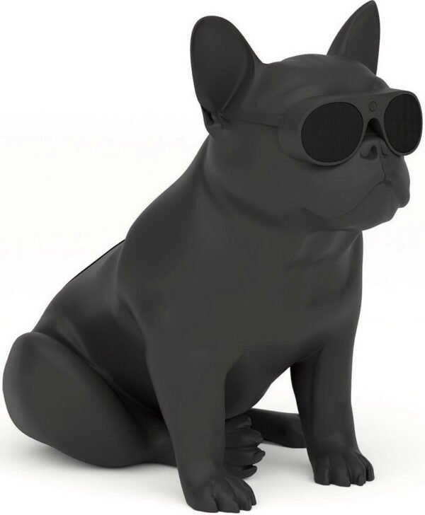 Акустична система для дому Jarre AeroBull XS1 Matt Black