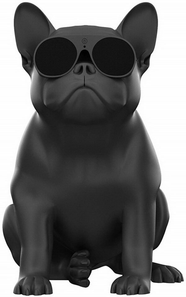 Акустична система для дому Jarre AeroBull XS1 Matt Black