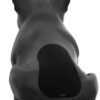 Акустична система для дому Jarre AeroBull XS1 Matt Black