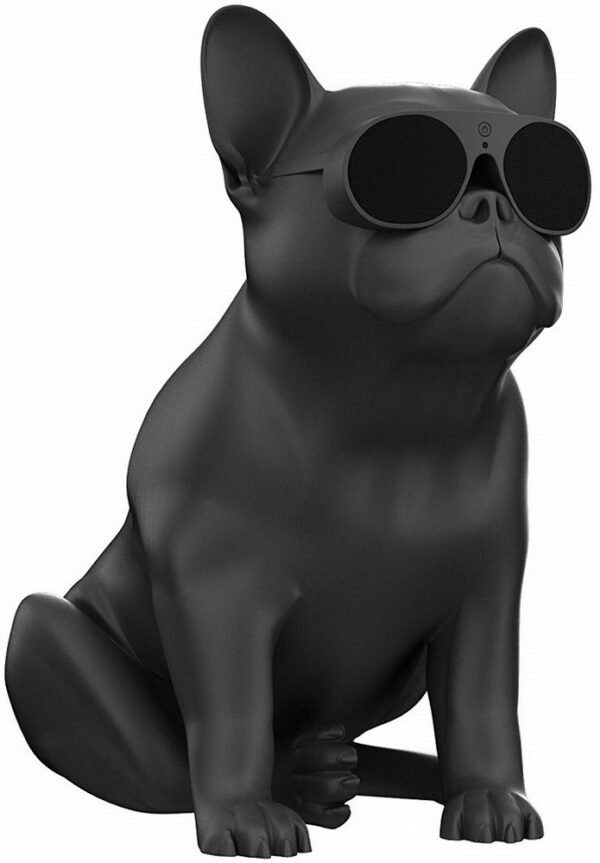 Акустична система для дому Jarre AeroBull XS1 Matt Black