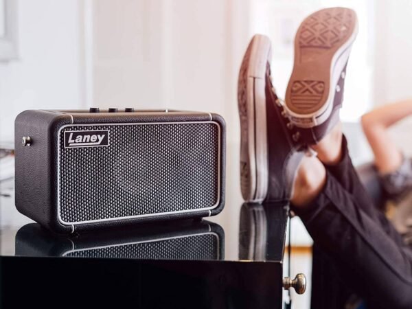Портативна акустична система Laney F67 SUPERGROUP