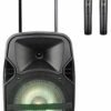 Мобільна акустична система NGS XA12-39DC