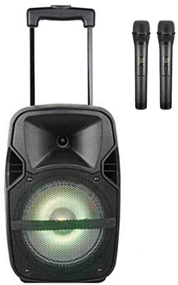 Мобільна акустична система NGS XA12-39DC