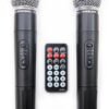 Акустичний комплект HL Audio USK12A