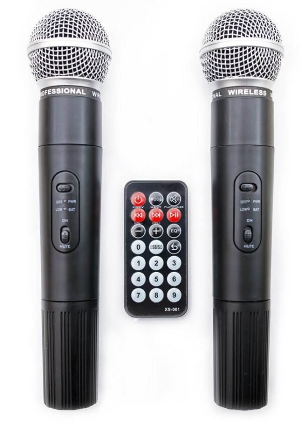 Акустичний комплект HL Audio USK12A