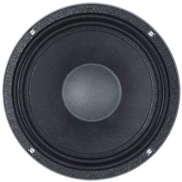 Динамік для акустичної системи B&C Speakers 10HPL64-16
