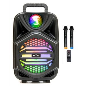 Мобільна акустична система Big 110MAGIC BALL USB/MP3/FM/BT/TWS + 2pcs VHF mic