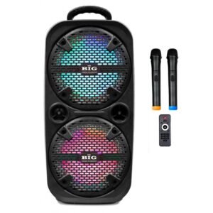 Мобільна акустична система Big 220ENCORE USB/MP3/FM/BT/TWS + 2pcs VHF mic