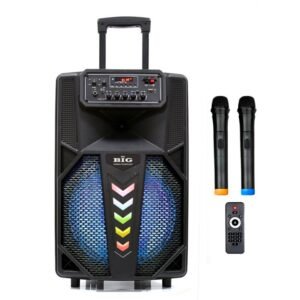 Мобільна акустична система Big 240STAR USB/MP3/FM/BT/TWS + 2pcs VHF mic