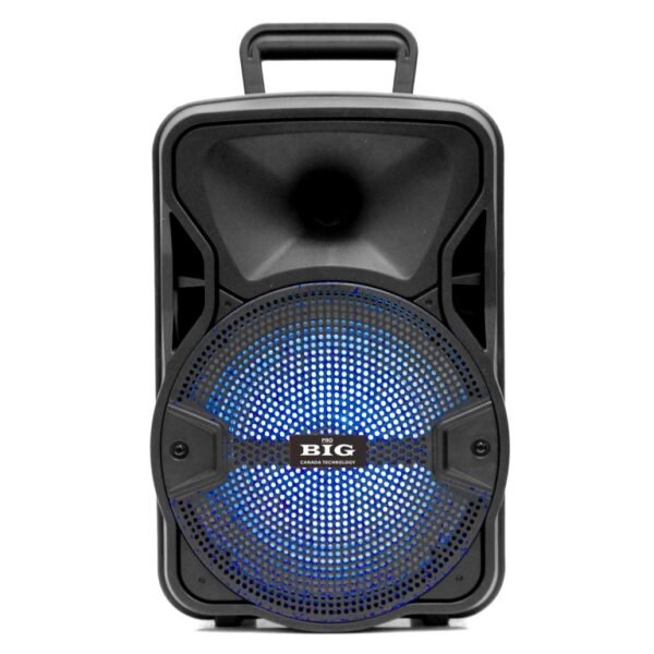 Мобільна акустична система Big 804GALAXY USB/MP3/FM/BT/TWS + Шнуровой микрофон