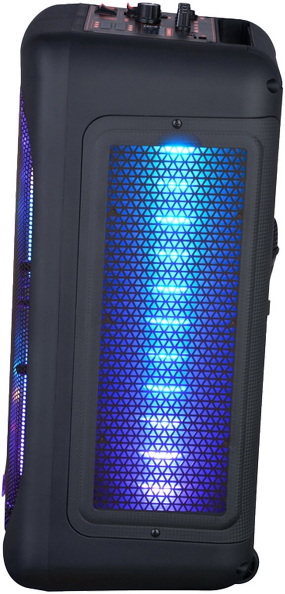 Мобільна акустична система Big JB X828 USB/MP3/FM/BT/TWS + 2pcs VHF mic