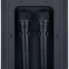 Мобільна акустична система Big JB X828 USB/MP3/FM/BT/TWS + 2pcs VHF mic