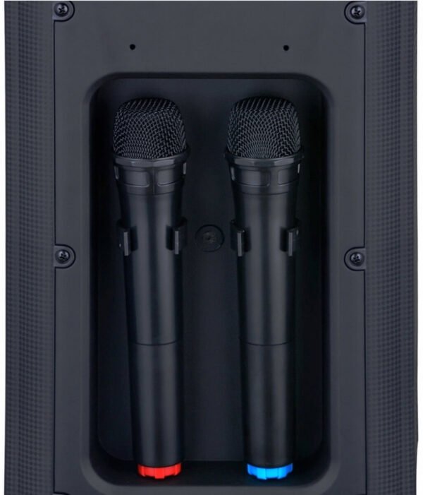 Мобільна акустична система Big JB X828 USB/MP3/FM/BT/TWS + 2pcs VHF mic