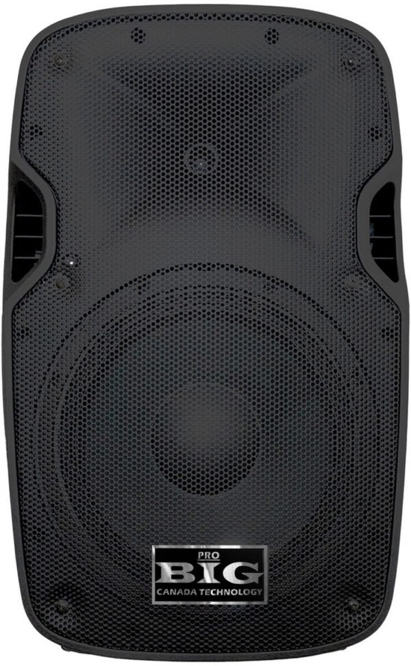 Пасивна акустична система Big JB15L300W8Ohm