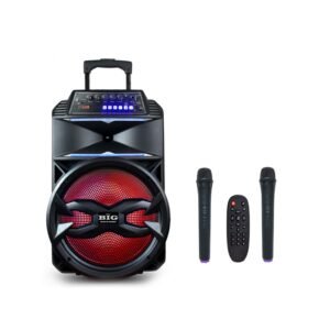 Мобільна акустична система Big BIG310BAT USB/MP3/FM/BT/TWS + 2pcs VHF mic