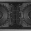 Лінійний масив db Technologies VIO L210