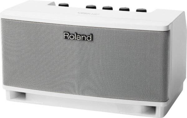 Портативна акустична система Roland Cube Lite Monitor