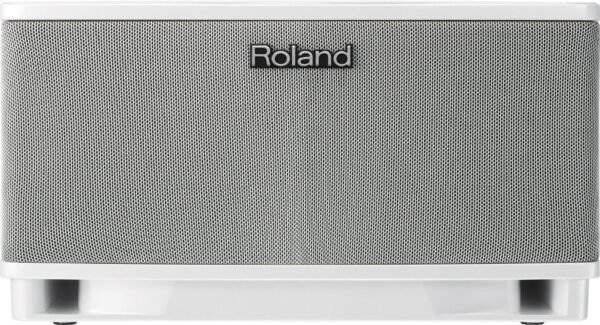 Портативна акустична система Roland Cube Lite Monitor