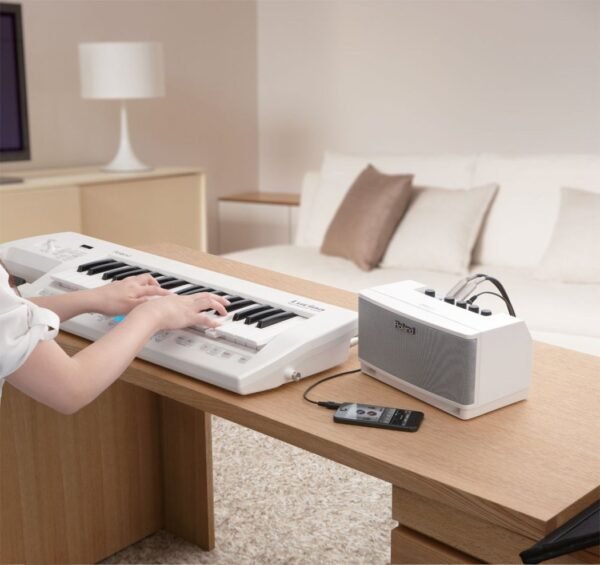 Портативна акустична система Roland Cube Lite Monitor