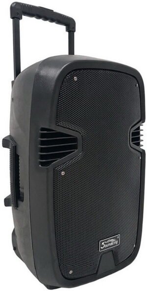 Мобільна акустична система SoundKing LS331