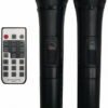 Мобільна акустична система SoundKing LS331