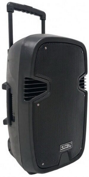 Мобільна акустична система SoundKing LS911