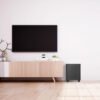 Активний сабвуфер Sky Sound SUBT-10B (2*40Вт)